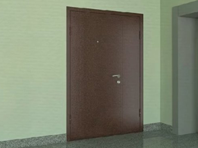 Металлическая дверь